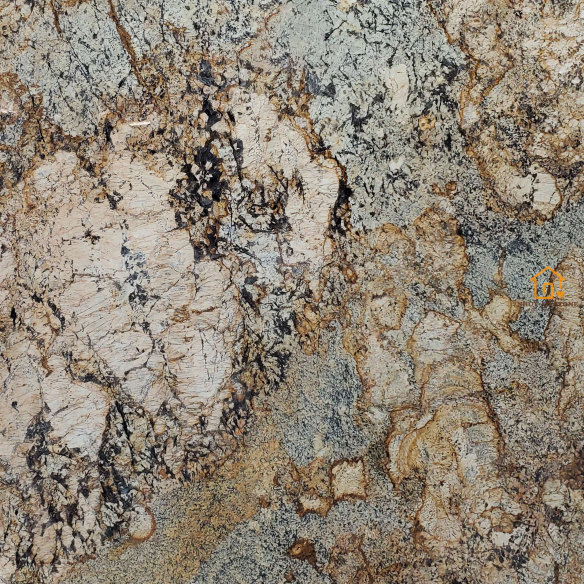 Alaska Gold (2)