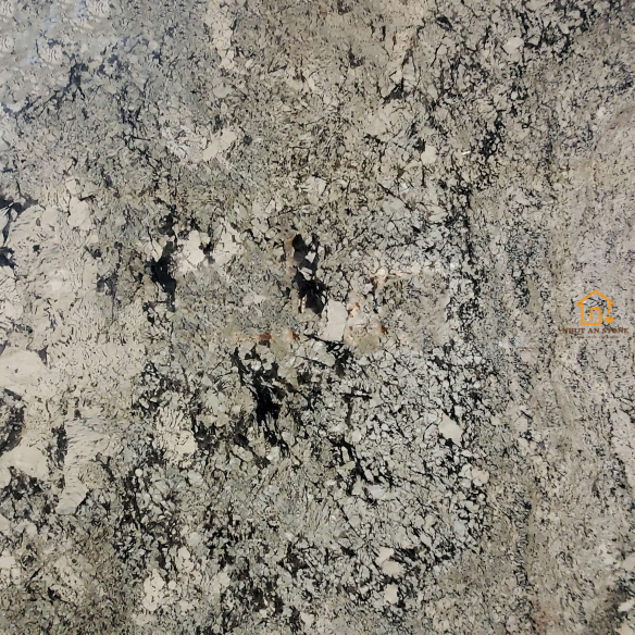 Alaska Grey (1)