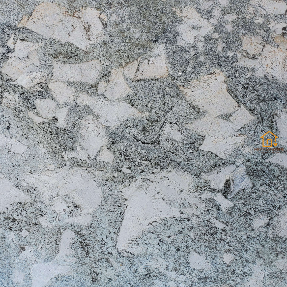 Alaska Grey (2)