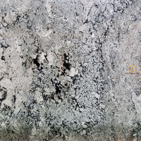 Alaska Grey (3)